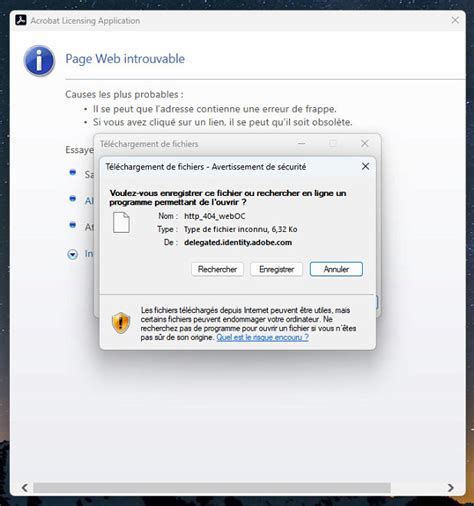 Image result for Adobe Script Error