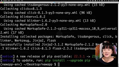 How to Use Virtual Environment Python 的图像结果