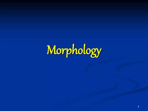 Morphemes & Types of morphemes | PPT