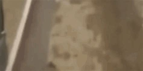 Image result for Node Package Management