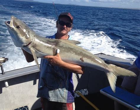 The Rocks Fishing Charters (Arakoon) - 2021 What to Know Before You Go ...