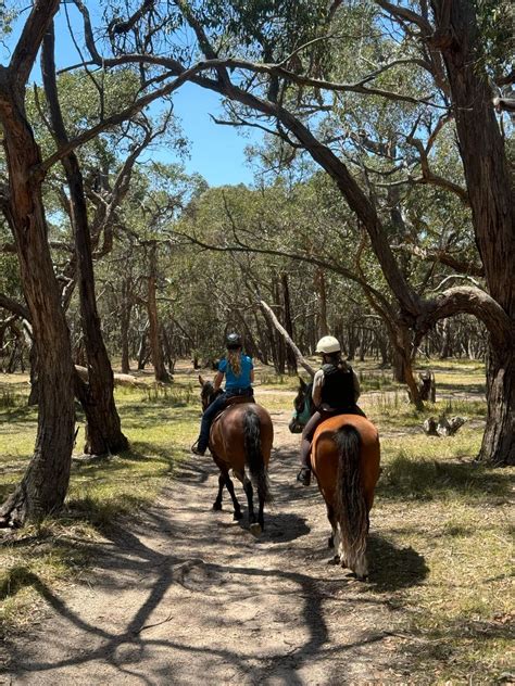 *fully booked* Train on the Trail- trail ride , 518 Bamganie Road ...