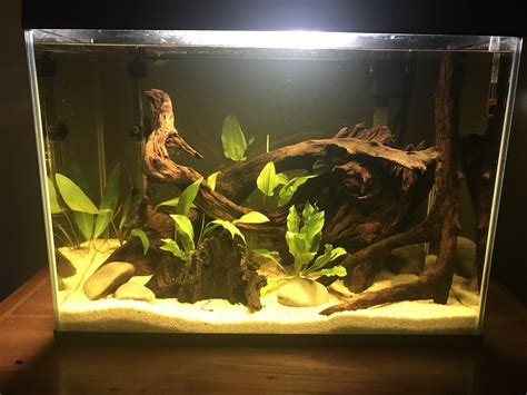 Raising KH : Aquariums