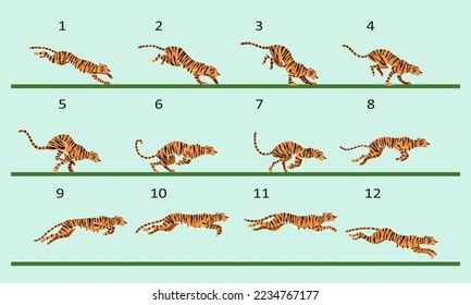 Image result for Tiger Run Cycle Animation