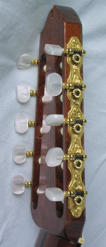 Image result for Ten-String Guitar