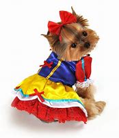 Image result for cute dogs costumes