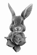 Image result for Baby Bunny Names