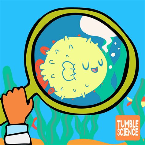 Image result for How Do Fish Sound