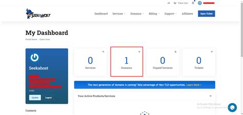 How to Check Hosting and Domain Expiry Date Details?