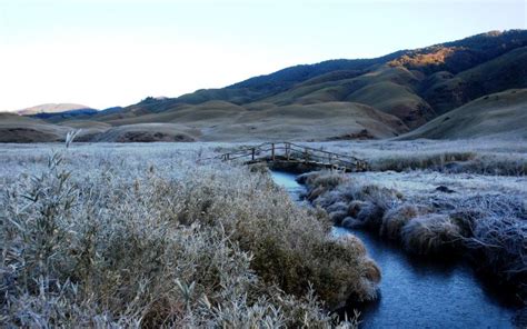 DZUKOU VALLEY | India Cine Hub