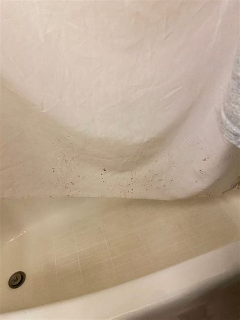 THE SUITES HOTEL AT WATERFRONT PLAZA (Duluth) - Hotel Reviews, Photos ...