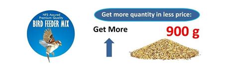 Nature Forever Bird Seeds Feeder Mix For All Life Stages, Millet, 900g ...