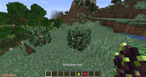 Simple Farming Mod Survival 的图像结果