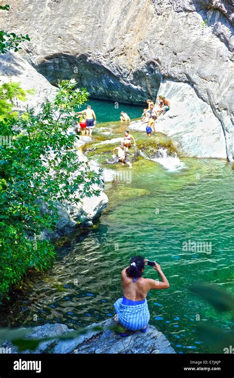 Nature Beach Swimming 的图像结果