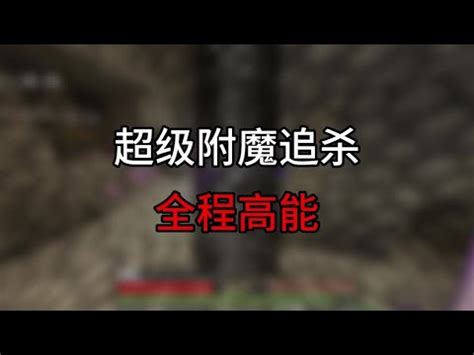 我的世界 我的世界 附魔描述MOD Mod Vv1.10.2 下载- 3DM Mod站