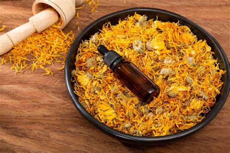 How to Use Calendula Oil for Hair Growth - Benefits & Uses – VedaOils