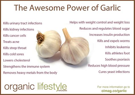 15 Scientifically Proven Benefits of Eating Garlic Daily - How To Ripe