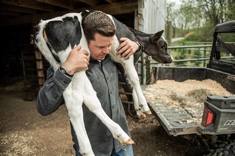 TRACTOR SUPPLY CO. - 7994 Crain Hwy S, Glen Burnie MD - Hours, Directions, Reviews - Loc8NearMe