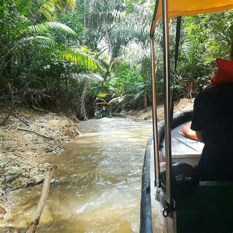 JUNGLE LAND PANAMA - All You Need to Know BEFORE You Go 2026 (with ...