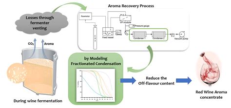 Modelling of Fractionated Condensation for Off-Flavours Reduction from ...
