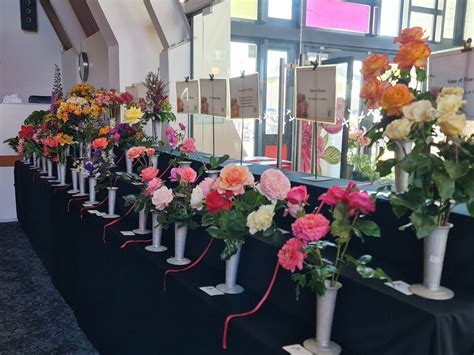 Franklin Rose Society Meeting - Demystifying the Showbench, Titi Rd ...