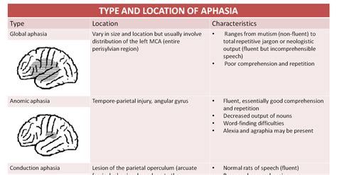 Image result for Aphasia Type Tree