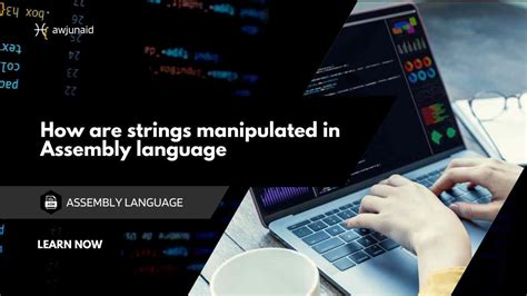 Image result for How to Use Assembly Language to Display a String