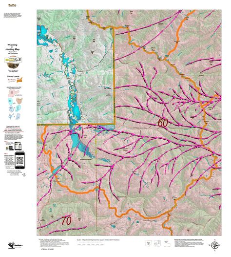 Elk Unit 60 Elk Summer, Winter Concentrations and Migration Routes Map ...
