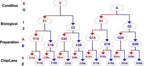 RNA-Seq vs Microarray 的图像结果