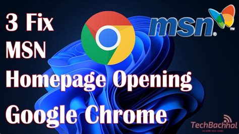 Msn.com Search Engine 的图像结果