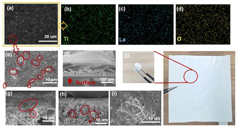 Effectively Elevating Ceramic Fillers’ Dispersity in Gel Hybrid ...