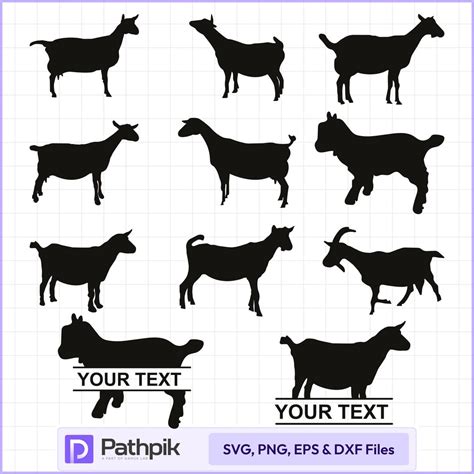 Image result for Best WA. Some Python Projects