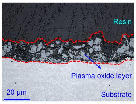 Lubricants | Special Issue : Frictional and Wear Behaviors of Sliding ...