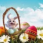 Image result for Picture of a Rabbit Carrying Flowers
