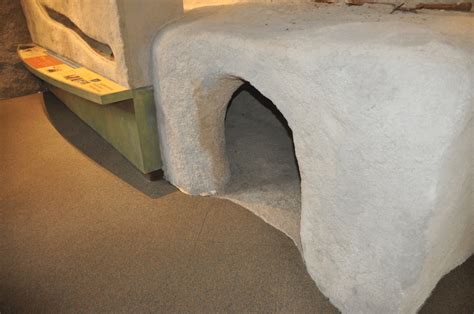 Image result for Using Camera to Explore Gopher Tortoise Burrow