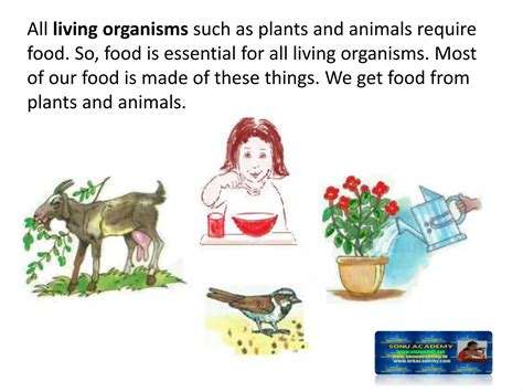 COMPONENTS OF FOOD - CLASS VI | PPTX - components of food class 6