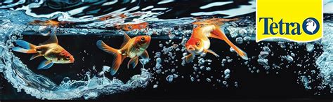 TETRA BITS Complete Bio-Active Formula Flake Adult Fish Food, 30 g ...