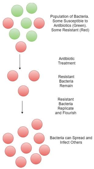 The Cell Wall, Cell Membrane and Virulence Factors of Staphylococcus ...