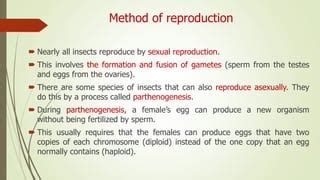 Image result for Insect reproductive system Insect Fertilization