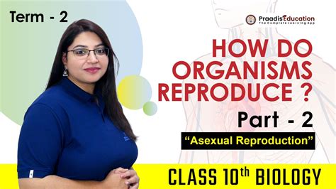 Image result for Types of Reproduction Class 8