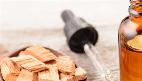 6 Oils You Can Use for Your Skin - lifeberrys.com