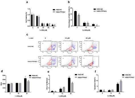 PTP4A3, A Novel Target Gene of HIF-1alpha, Participates in Benzene ...
