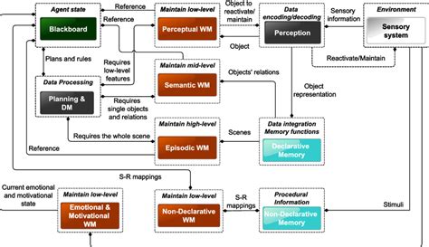 Image result for Declarative vs Non Declarative Memory