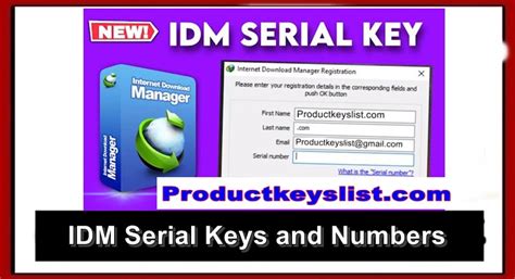 Image result for IDM Serial Key Download