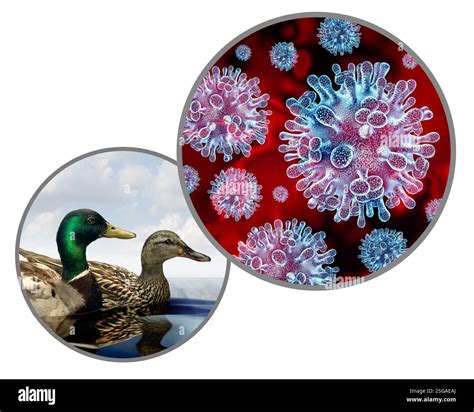 Flu spreading hi-res stock photography and images - Alamy