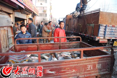 “鱼样方” 我国沿海水产市场有哪些鱼？ | 中国国家地理网