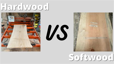 Is Cardboard A Softwood Or Hardwood at Joyce Collins blog
