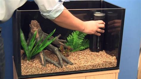 Image result for Basic Setup Fish Tank