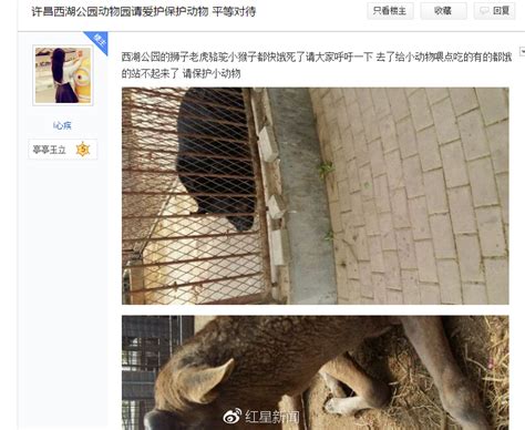 河南一动物园惨状虐哭网友 园长：是游客要求变高了_新闻频道_中国青年网