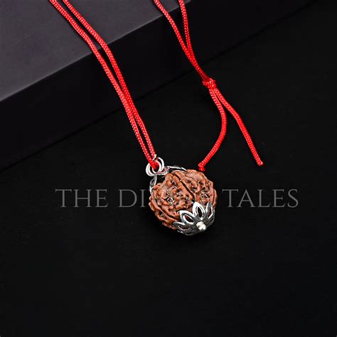 6 Mukhi Rudraksha – The Divine Tales
